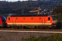 1144 092-4 ihren Güterzug bei Wolfurt. 15.9.20