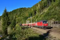 1293 008 mit GAG 44929 am 27.09.2020 bei Ingling.