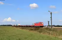 245 027 und 628 507-5  List  am Zugschluss mit dem AS 1429 (Westerland(Sylt)-Niebüll) bei Lehnshallig 2.9.20