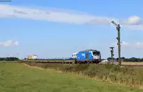 247 909-5  Anne  mit dem AZS28913 (Westerland(Sylt)-Niebüll) bei Lehnshallig 2.9.20