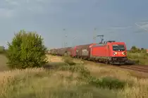 187 186 rollte am 23.09.20 mit einem gemischten Güterzug durch Gräfenhainichen Richtung Bitterfeld.