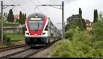 RABe 511 116 und RABe 511 118 (Stadler KISS) unterwegs in Saint-Saphorin (CH).

🧰 Léman Express (LEX | SBB | SNCF)
🚝 RE 18430 St-Maurice (CH)–Genève (CH), weiter als S L2 Genève (CH)–Chêne-Bourg (CH), weiter als SCF23240 Chêne-Bourg (CH)–Annemasse (F)
🚩 Bahnstrecke Vallorbe–Domodossola (Simplonstrecke | 100/200)
🕓 4.8.2020 | 10:38 Uhr
