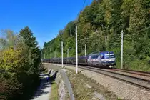 383 207 mit einem leeren Autozug am 01.10.2020 bei Ingling.