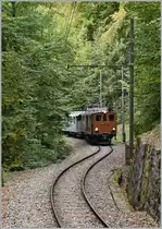 Die Strecke der Blonay-Chamby Bahn ist mit gut drei Kilometer nicht sehr lang, und doch bietet sie unzählige Fotomotive, wie z.B hier kurz vor der Baie de Clarens Brücke im Wald oberhalb von Blonay mit der Bernina Bahn Ge 4/4 81, die mit ihre 16:10 Personenzug auf dem Weg nach Chaulin ist.

11. Oktober 2020