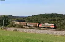 363 010 mit einem H-Wagenzug bei Prešnica 11.9.20