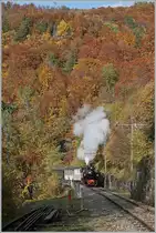  LA DER 2020 du Blonay-Chamby  / Saison Abschluss der Blonay-Chamby Bahn: Mit einem verstärkten Fahrplan und viel Dampf wird vor dem  Winterschlaf  (bzw. Arbeit im DépÔt Chaulin) nochmals viel Betrieb gemacht. 
Vor dem Hintergrund unzähliger bunter Blätter bei Vers-chez-Robert macht die Blonay-Chamby G 2x 2/2 N° 105 mächtig dampf für die Weiterfahrt nach Chamby. 

24. Oktober 2020