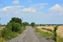 Blick über die alte Kanonenbahn von Barby in Richtung Güterglück. Seit 2004 ist die Strecke stillgelegt. 2014 wurden die Gleise komplett abgebaut. Erstaunlich ist der weitesgegend freie Gleiskörper. Nur an wenigen Stellen hat sich die Natür die Schotterfläche zurück erkämpft.

Flötz 31.07.2018