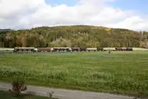 NBIK 1245.05 am 25.Oktober 2020 mit dem SGAG 14796 (Villach Hbf.-Ostbf. - St. Veit an der Glan-Westbf.) auf der Rudolfsbahn beim Strecken-Km 332,8.