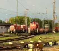 DB Cargo 294 890-9 am 14.08.2020 beim pausieren in Oberhausen Osterfeld Rbf.