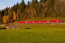 Zwei Fahrzeuge der Baureihe 612 bei Oberthalhofen gen Rötenbach. 31.10.20