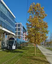 Herbstfarben in Luxemburg. Die Tram 109 ist am 18.11.2020 in Richtung Stäreplaz unterwegs, als ich diese bei herrlichem Herbstwetter während einem Spaziergang an der Strecke entlang im Bild festhielt. (Hans) 