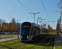 Herbstfarben in Luxemburg, auf der Fahrt in Richtung Luxexpo, fährt die Tram 119 durch die Herbstfarben an mir vorbei. 18.11.2020 (Hans)