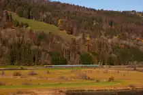 223 013 als  Bodo Werbelok  und ihrem Alex Vollzug entlang des großen Alpsees bei Immenstadt. 7.11.20