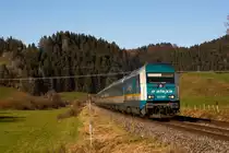223 068 mit ihrem Alex bei Buflings kurz vor Oberstaufen. 7.11.20