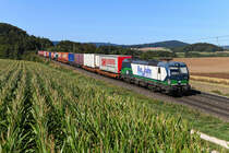 Der DGS 40679 von Genk nach Curtici wurde am 19. September 2020 von dem für die Rurtalbahn fahrenden ELL Vectron 193 229 bespannt. In der frühherbstlichen Oberpfalz bei Darshofen konnte ich den bunten KLV-Zug aufnehmen. Im Hintergrund erkennt man den Fernmeldeturm Seubersdorf. Und wer genau hinsieht, kann den Kirchturm von Krappenhofen finden.  