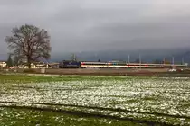 Mein letztes Bild auf österreichischem Boden von einem Lokbespannten EuroCity mit Schweizer Wagen. 421 371-6 zieht dem EC EuroCity 194 zwischen Lauterach und Hard. 11.12.20