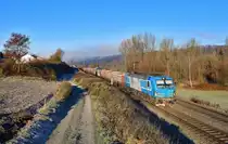 193 250 mit DGS 48963 am 30.11.2020 bei Seestetten.