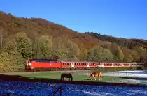 218 306, Urft, 10.11.2001.