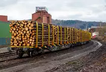 Drehgestell-Flachwagen mit vier Radsätzen und Niederbindeeinrichtung, 81 80 4723 154-8 D-TWA, der Gattung Snps, der TRANSWAGGON GmbH, beladen mit Fichten-Rundholz abgestellt am 30.12.2020 in Siegen-Eintracht auf der Gleisanlage der Kreisbahn Siegen-Wittgenstein (KSW). Der Wagen wurde 2016 von Tatravagonka Poprad (Slowakei) unter der Fabriknummer 111 gebaut.

Gewaltige Forstschäden an dem kompletten Fichtenbestand durch den Borkenkäfer sind in der Region zu beobachten. Mit der Abholzung kommt man nicht hinterher. Hier in Siegen bei der KSW findet die Holzverladung der Region auf die Schiene statt.

Der Drehgestell-Flachwagen wurde speziell für den Transport von Rundholz und Schnittholz entwickelt und zeichnet sich durch hohe Ladekapazität und optimierte Ladesicherung aus. 
Tatravagonka Poprad (Slowakei) lieferte Ende 2016 insgesamt 200 Holztransportwagen (Nummernreihe 81 80 4723 000 bis 81 80 4723 199) der Gattung Snps an die Transwaggon GmbH, die diese an vermietet. Die Fahrzeuge sind eine Neuentwicklung in Leichtbauweise. Sie können im G2-Profil verkehren und haben neben Deutschland auch eine Zulassung für die Slowakei, Tschechien, Polen, Österreich, Schweden, Dänemark und Niederlande. Die Snps können mit Rundholz in verschiedenen Längen zwischen 2 Meter und 6 Meter beladen werden. Auf jeder Längsseite befinden sich zwölf Exte-Rungen, die über Muttern befestigt werden und umsteckbar sind. Die stabilen Ladeschwellen sind leicht austauschbar. Der Wagenboden besteht aus Tränenblechen. Die einzelnen Fußbodenplatten wiegen jeweils rund 30 kg. Zur Verzurrung der Ladung sind von Hand zu bedienende Niederbindeeinrichtungen vorhanden. Die Ladeschwellen sind genügend hoch, so dass die handelsüblichen Umschlagmittel verwendet werden können.

Die Wagen können mit Stirnwänden nachgerüstet werden. Und durch eine Nachrüstung mit klappbaren Containerzapfen kann der Snps auch wie Tragwagen der Gattung Sggns genutzt werden.

TECHNISCHE DATEN:
Gattung: Snps
Spurweite: 1.435 mm (Normalspur)
Länge über Puffer:  20.770 mm
Drehzapfenabstand: 15.230 mm
Radsatzstand in den Drehgestellen: 1.800 mm
Laufraddurchmesser: 920 mm (neu)
Drehgestellt: Y25 Ls-K
Ladelänge: 19.530 mm
Fußbodenhöhe über SO: 1.270 mm (OK Ladeschwelle)
Rungenhöhe: 2.504 mm
Eigengewicht: 23.000 kg 
Zuladung bei Lastgrenze S: 67 t (ab Streckenklasse D) 
Max. Geschwindigkeit: 100 km/h / 120 km/h (leer)
Kleinster Gleisbogenhalbmesser: 75 m
Bauart der Bremse: KE-GP-A 
Bremssohle: C 810
Handbremse: Ja
Verwendungsfähigkeit: TEN