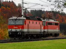 1144 099-9 und 1142 631-1; müssen in herbstlicher Landschaft am Bhf. Altmünster einen Gegenzug abwarten, um dann weiter Richtung Attnang/Pu zu fahren; 201030