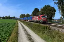 Vor der TXL-Leistung DGS 43949 von Wanne-Eickel nach Wien Freudenau Hafen werden zumeist ELL Vectrons eingesetzt, gerne diejenigen mit der Seitenwerbung  We love to connect . Am 01. Oktober 2020 gab es mit der  OFFROAD  193 555 eine erfreuliche Abwechslung, die ihr Haupteinsatzgebiet im Italienverkehr hat und somit eher selten auf der Donau-Achse zu beobachten ist. Bei Langenisarhofen konnte ich die gelungene Werbelok mit dem zumeist mit Aufliegern der Spedition LKW Walter beladenen KLV aufnehmen.