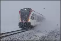Abflug ,.... 

Der weggewehte Schnee dürfte den Flug der beiden Vögel wohl beschleunigt haben. 
Frauental am 14.01.2021