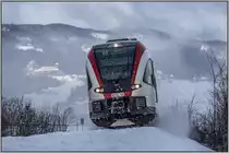 Flock-Down ,.... 

Deutschlandsberg Leibenfelder Höhe an diesem  Durchzogenem  14.01.2021