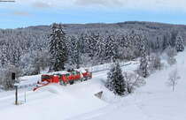 40 80 947 5206-5; 218 456-0 und 40 80 9475 195-0 als NbZ 92484 (Seebrugg-Villingen(Schwarzw)) bei Hinterzarten 16.1.21