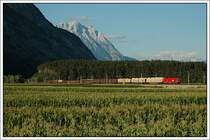 1X16 mit einem G�terzug am 25.7.07 aufgenommen n�chst Haiming im Oberinntal mit der Hohe Munde im Hintergrund. Auch hier kann ich gerade noch erkennen, dass es sich um eine 1116 handelt.