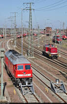 Nachschuss auf 204 354-5 (112 354-6 | 110 354-8 | DR V 100.1 | NVR-Nummer: 98 80 3202 354-7 D-PRESS), die als Tfzf in nördlicher Richtung an 233 314-4 (232 314-5 | 132 314-6) in der Zugbildungsanlage (ZBA) Halle (Saale) vorbeifährt.
Aufgenommen von der Berliner Brücke.

🧰 Muldental-Eisenbahnverkehrsgesellschaft mbH (MTEG), eingesetzt von der Eisenbahn-Bau- und Betriebsgesellschaft Pressnitztalbahn mbH (PRESS) / DB Cargo
🕓 30.3.2021 | 15:16 Uhr