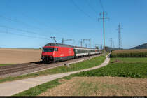 [Archiv] Am 19.09.2019 ist SBB Re 460 034-2 mit ihrem sehr kurzen IR36 von Zürich HB nach Basel SBB unterwegs und konnte hier bei Möhlin aufgenommen werden.