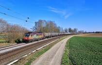 185 602 mit einem Kesselzug am 30.03.2021 bei Langenisarhofen.