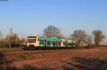 VT 528  Hans Grohe  und VT 017 als SWE87362 (Offenburg-Bad Griesbach) bei Zusenhofen 14.4.21