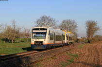 VT 532  Loßburg  und VT 522 als SWE87364 (Freudenstadt Hbf-Bad Griesbach) bei Zusenhofen 14.4.21