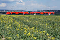 Aare Seeland mobil/ASm.
Be 2/6 in Doppeltraktion im Seeland bei Lüscherz unterwegs am 15. April 2021.
Foto: Walter Ruetsch