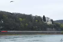 Die Elektrolokomotive 101 120-4 zieht eine schweizerische EC-Garnitur den Rhein entlang. (Remagen, April 2021)