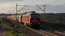 Am 25.04.2021 fährt der EZ 51623 (Halle (Saale) - Zwickau (Sachs)) mit 233 452-2 bei  Steinpleis vorbei.