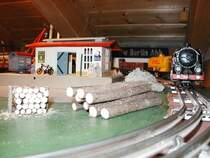 Spur 0 Anlage,Blick gegen den G�terschuppen,rechts kommt ein  M�rklin G�terzug  