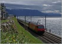 Der auf dem vorhergegangenen Bild im Hintergrund in Rivaz erkennbare IR 90 der Gegenrichtung kurz darauf im stimmungsvollen Gegenlicht auf dem Weg nach Brig bei St-Saphorin.

27. März 2021