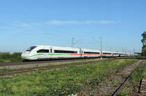 Ringsheim - 25. September 2021 : ICE 275 von Frankfurt/Main nach Interlaken Ost. HINWEIS : Ich stand nicht im Gleisbereich. An dieser Stelle gibt es ein Holzladeplatz.