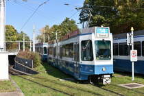 Tram 2000 Wagennummer 2055 + 2008 auf der Linie 14 bei der Einfahrt in die Milchbuck. Datum: 16.10.2021