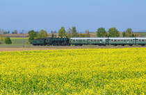 Herbst-Dampftage BEM Nördlingen: Auf der Rückfahrt von Harburg nach Nördlingen kommt S 3/6 3673 Tender voraus mit dem Museumszug kurz vor Nördlingen an einem Raps-Feld vorbei. 09.10.2021