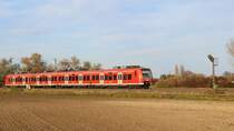 Am 15.11.20 fährt 425 090  Saarlouis  als RB 2 von Biblis nach Mannheim Hbf. Zum Fahrplanwechsel im Dezember 2020 wurde diese Linie in das Netz der S-Bahn Rhein-Neckar aufgenommen und verkehrt seitdem als S 9. Zum Einsatz kommen neue Fahrzeuge der Baureihe 463 (Siemens Mireo). Aufgenommen zwischen Biblis und Bobstadt.