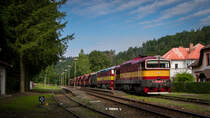 754 044-6 + 751 131-4 - Samechov 11.07.21