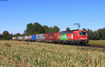193 300  Das ist grün  mit dem KT 41621 (Offenburg Gbf-Luino SBB) bei Riegel 23.9.21