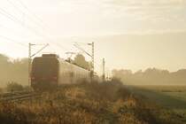 Der Morgensonne entgegen fahren 423 252-6 und 258-1 am 23.10.2021 zwischen Neuss-Norf und Neuss-Allerheiligen