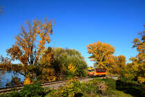Kleiner Zug mit wunderbarer Landschaft. Die 117 249 (Bzmot) als Zug 32916 von Esztergom nach Székesfehérvár über Komárom kurz nach Nyergesújfalu. Hinter den Bäumen ist die Donau.
24.10.2021.