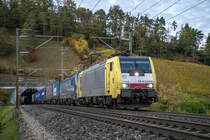  Tweety  189 993 ist zusammen mit 193 534 bei Villnachern unterwegs und hat soeben auf dem Weg in Richtung Basel den Villnachern-Tunnel verlassen. Aufgenommen am Abend des 19.10.2021.