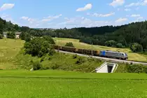 Seit einiger Zeit gibt es auf der Summerauer Bahn vermehrt private EVUs zu beobachten. Regelmäßig verkehrt ein Holzzug von Tschechien nach Frankenmarkt, ab dem Grenzbahnhof übernimmt ecco-rail die Traktionierung. Am 30. Juli 2021 beförderte die 187 342 die Leistung und konnte am Semmelhof vor dem schweren Ganzzug dokumentiert werden. Dort musste jüngst der schöne alte gemauerte Durchlass leider einer etwas überdimensioniert wirkenden Unterführung weichen. 