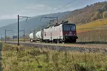 Kurzgüter mit der Re 420 235-4 im Gegenlicht bei Cressier am 9. November 2021.
Foto: Walter Ruetsch